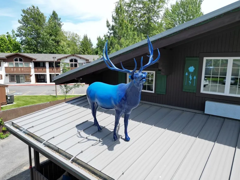 Blue Elk Inn hotel detail image 2
