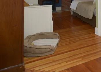 Naomi's Inn Bed & Breakfast hotel thumbnail 6
