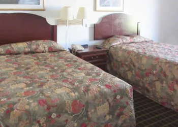Econo Lodge Inn & Suites Orangeburg hotel thumbnail 2