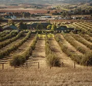 The Purple Orchid Wine Country Resort & Spa hotel detail image 3