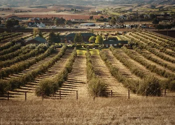 The Purple Orchid Wine Country Resort & Spa hotel thumbnail 3