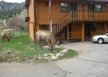 Murphy's River Lodge hotel thumbnail 7