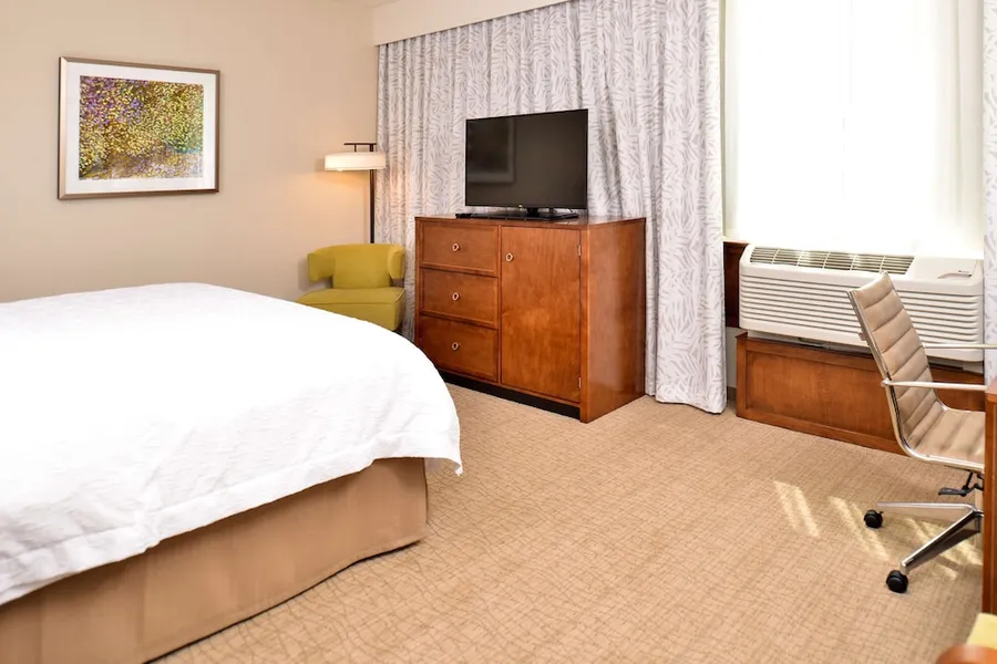 Hampton Inn & Suites Orlando/Downtown South - Medical Center hotel detail image 6