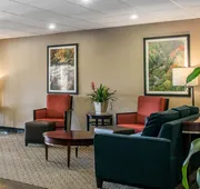 Comfort Suites Wixom - Novi hotel detail image 3