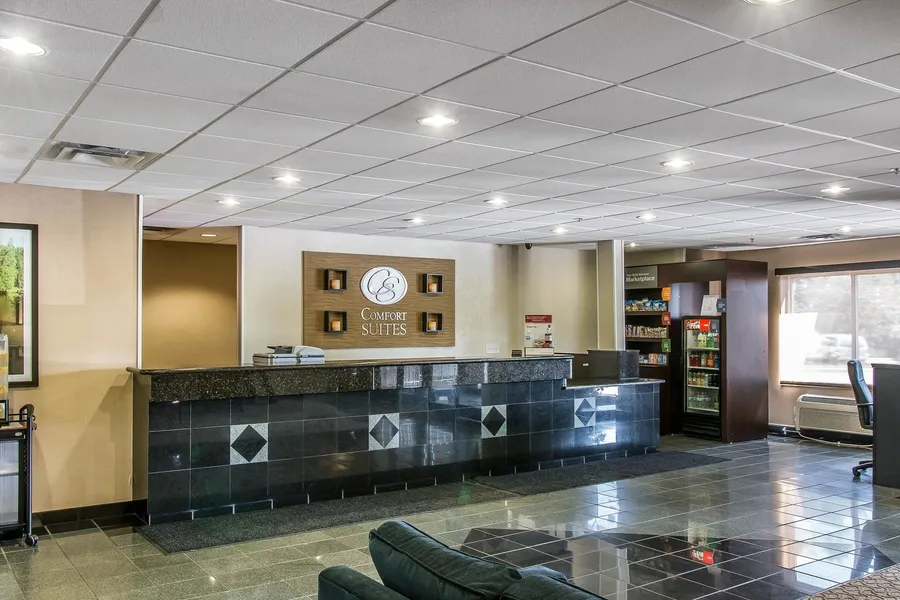 Comfort Suites Wixom - Novi hotel detail image 6