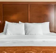 Comfort Suites Wixom - Novi hotel detail image 7