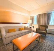 Sheraton Boston Needham Hotel hotel detail image 4