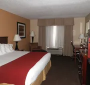 Holiday Inn Express & Suites Forest by IHG hotel detail image 5