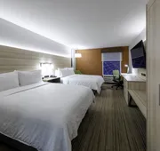 Holiday Inn Express Hotel & Suites Petersburg-Dinwiddie by IHG hotel detail image 7