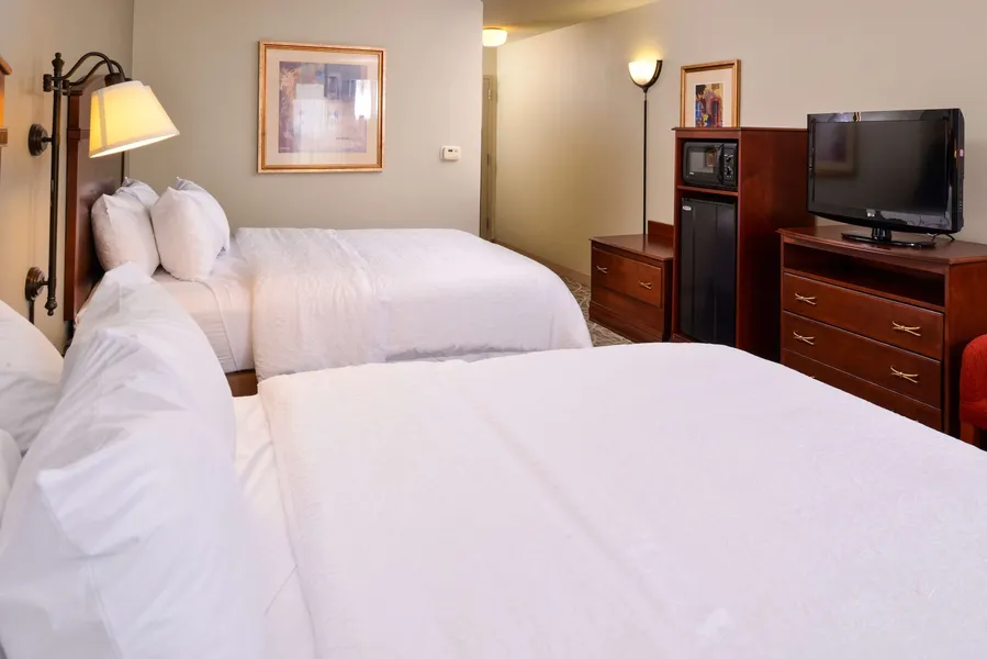 Hampton Inn by Hilton Litchfield hotel detail image 6