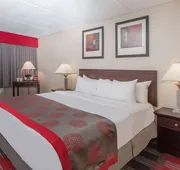 Albany Plaza Hotel hotel detail image 7