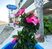 Avista Resort hotel detail image 3