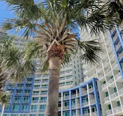 Avista Resort hotel detail image 7