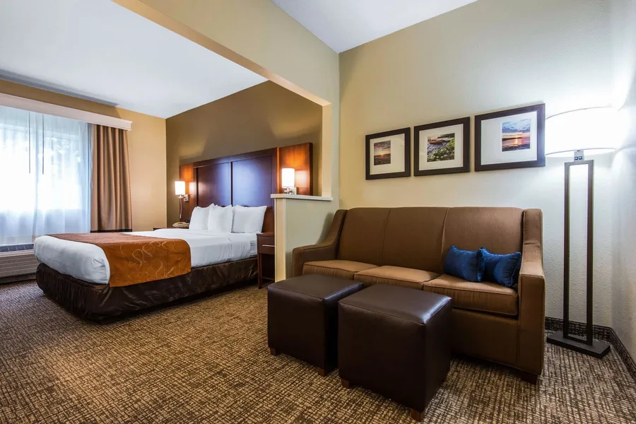 Comfort Suites Rochester Henrietta University Area hotel detail image 6