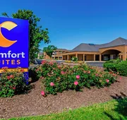 Comfort Suites Chesapeake - Norfolk hotel detail image 3