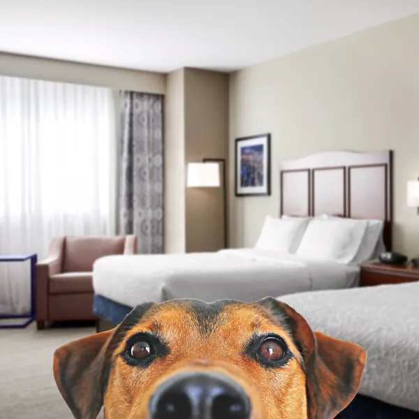 Hampton Inn & Suites Chicago/Mt. Prospect hotel detail image 6