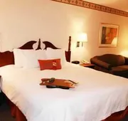 Hampton Inn Cornelia hotel detail image 4