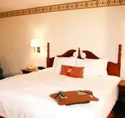 Hampton Inn Cornelia hotel detail image 5