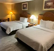 Americas Best Value Inn Pharr hotel detail image 3