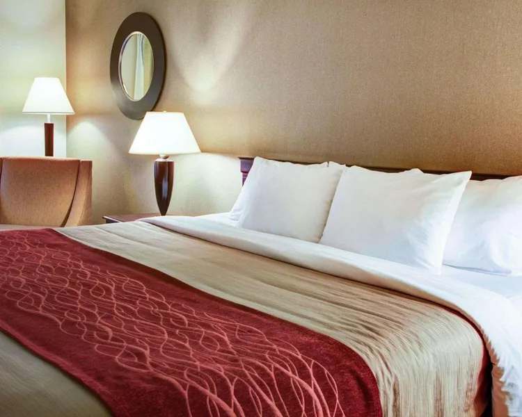 Quality Inn Florence hotel detail image 6