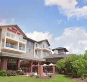 Hilton Garden Inn Wisconsin Dells hotel detail image 4