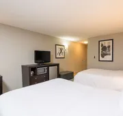 Hampton Inn Detroit/Roseville hotel detail image 7