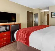 Comfort Inn Fort Mill Amusement Park at Carowinds Blvd hotel detail image 4