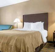 Quality Inn Noblesville - Indianapolis hotel detail image 7
