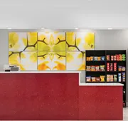 Orlando International Drive North Hotel hotel detail image 7