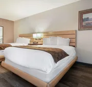 SureStay Plus Hotel by Best Western Tarboro hotel detail image 7