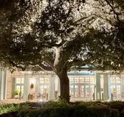 Hyatt Regency Hill Country Resort and Villas hotel detail image 3