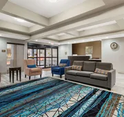 Comfort Inn and Suites Near Medical Center hotel detail image 7