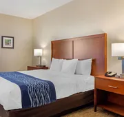 Comfort Inn Douglasville - Atlanta West hotel detail image 4