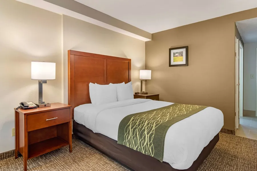 Comfort Inn Douglasville - Atlanta West hotel detail image 6