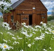 Country Willows Inn and Estate hotel detail image 4