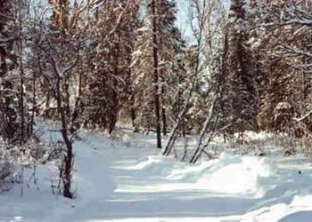 Daniels Lake Lodge B&B hotel thumbnail 2