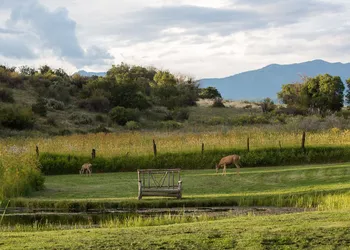 Blue Lake Ranch hotel thumbnail 6