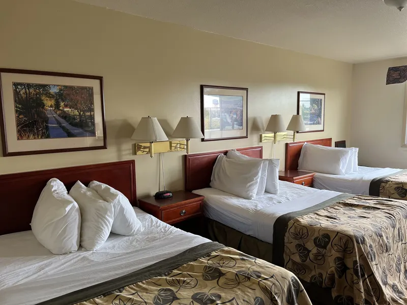 Travelodge by Wyndham Drumheller hotel detail image 6