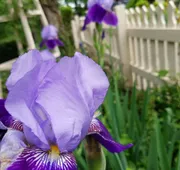 5 Ojo Inn Bed and Breakfast hotel detail image 7