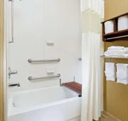 Hampton Inn San Angelo hotel detail image 7