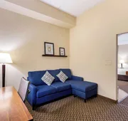 Comfort Suites Elkridge Columbia Gateway hotel detail image 7