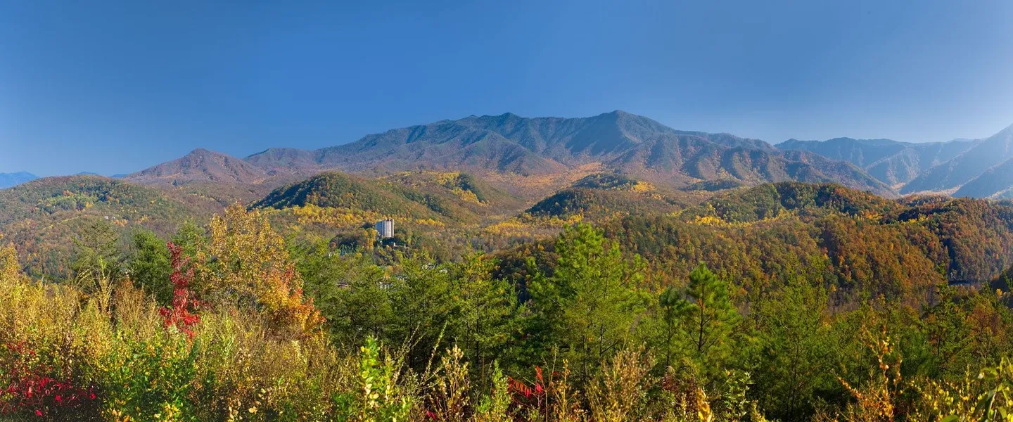 The Park Vista - a DoubleTree by Hilton Hotel - Gatlinburg hotel detail image 6