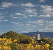 The Park Vista - a DoubleTree by Hilton Hotel - Gatlinburg hotel detail image 7