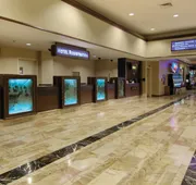 Harrah’s Lake Tahoe – A Caesars Rewards Destination hotel detail image 5