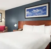 DoubleTree by Hilton Dallas - DFW Airport North hotel detail image 7
