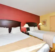 Lex View Inn at JFK Airport hotel detail image 7