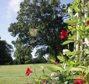 Seven Oaks Bed & Breakfast hotel detail image 5