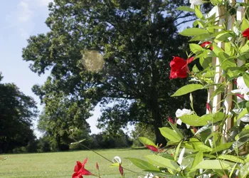 Seven Oaks Bed & Breakfast hotel thumbnail 5