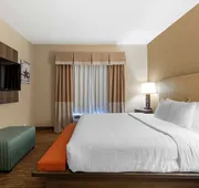 Best Western Plus DFW Airport Suites hotel detail image 7