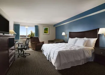 Days Inn by Wyndham Lacey Olympia Area hotel thumbnail 5